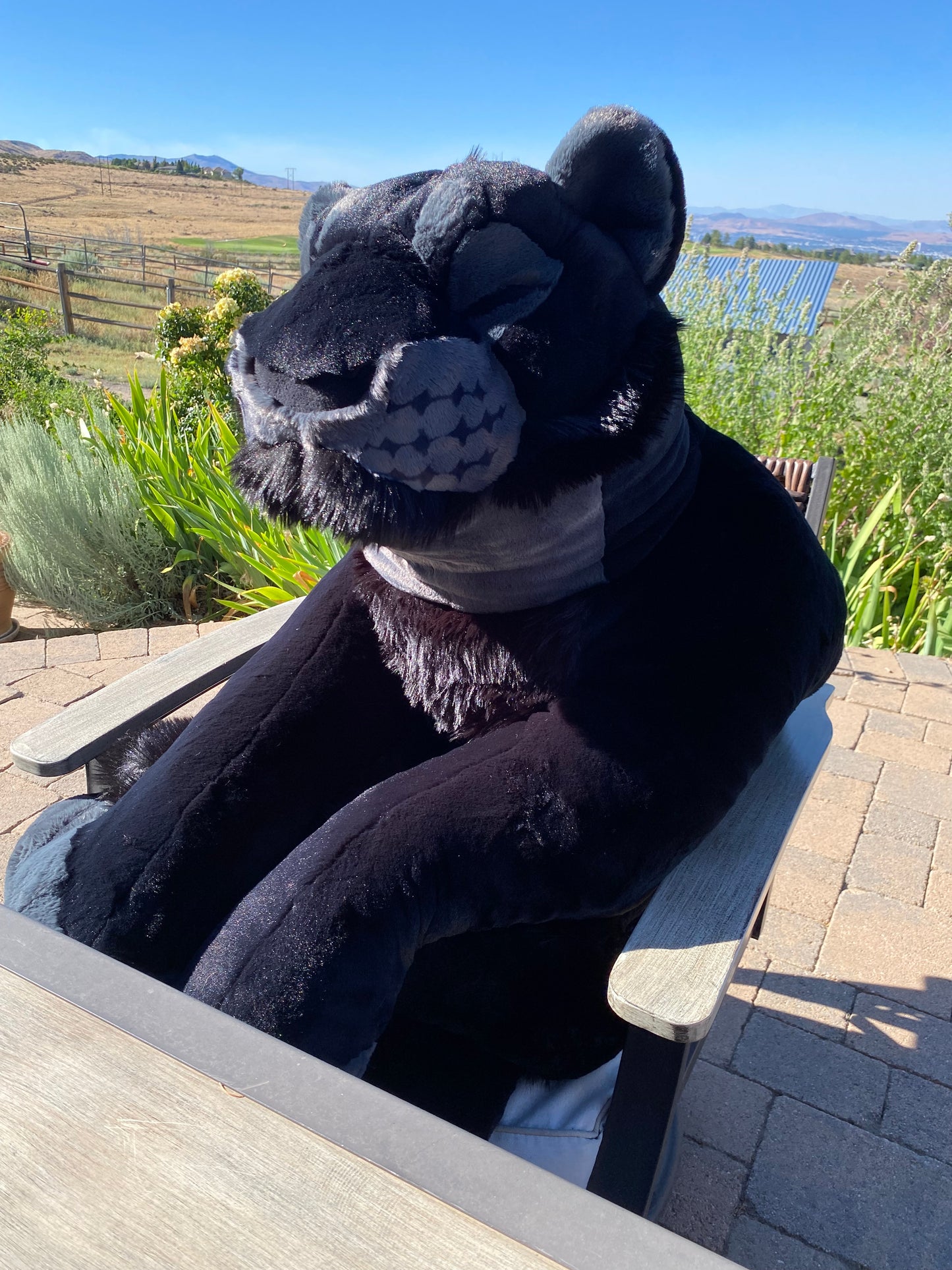 GIANT Big Cat Plush- Made to Order