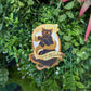 "Save a Paw, Don't Declaw" Sticker/Pin