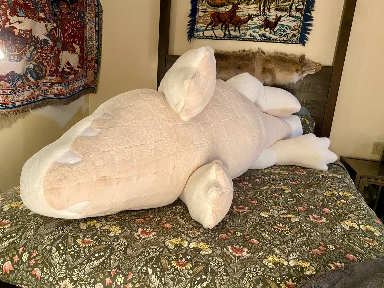 GIANT Alligator - MADE TO ORDER – Creep Cat Toy Company