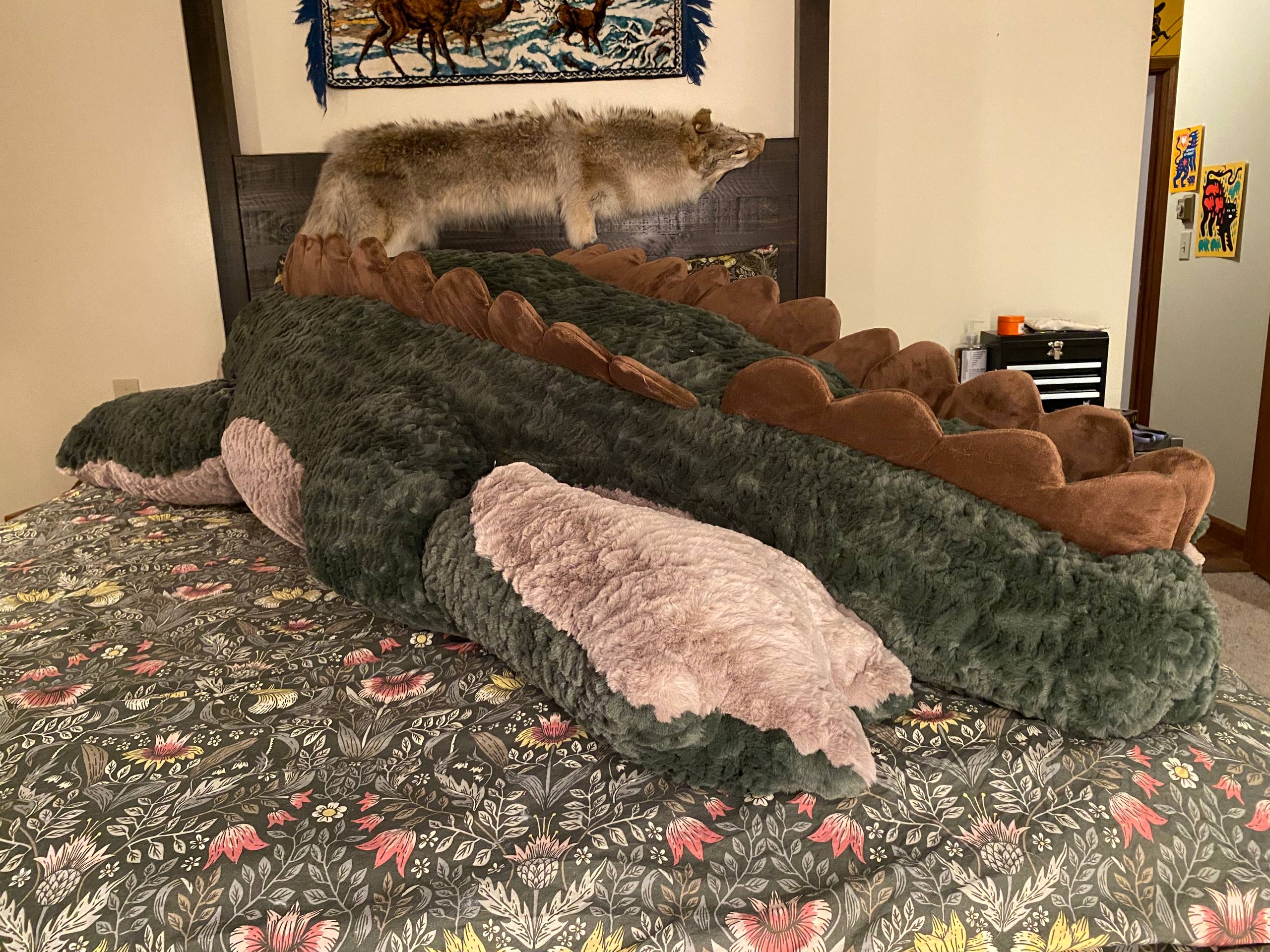 GIANT Alligator - MADE TO ORDER – Creep Cat Toy Company