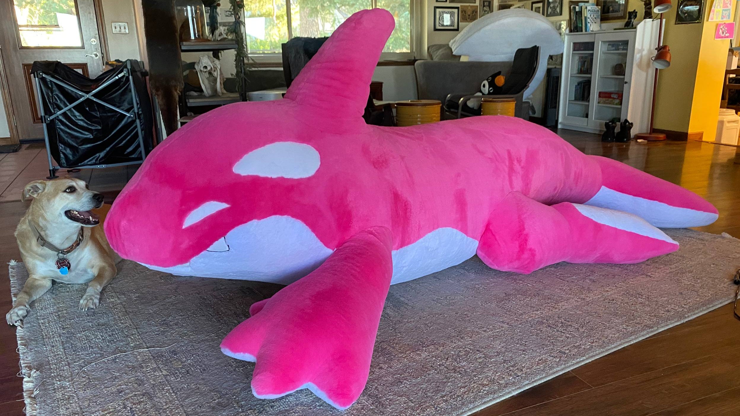 GIANT 10ft Orca - Made to Order – Creep Cat Toy Company