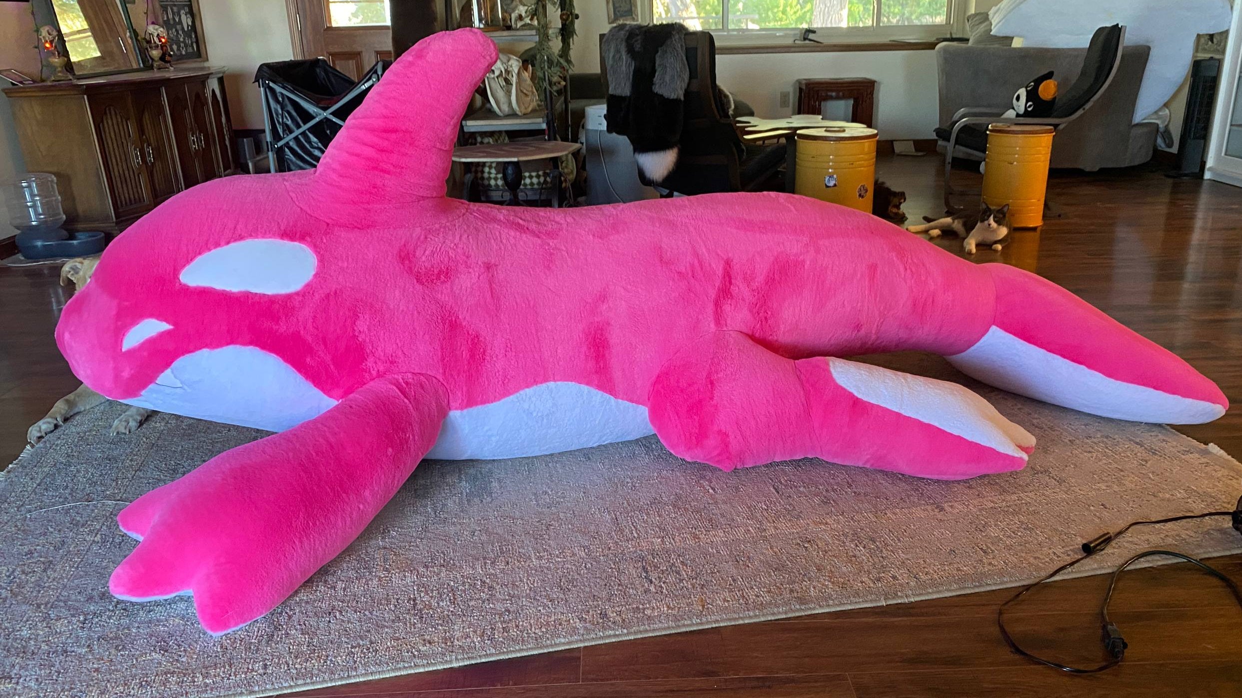 GIANT 10ft Orca - Made to Order – Creep Cat Toy Company