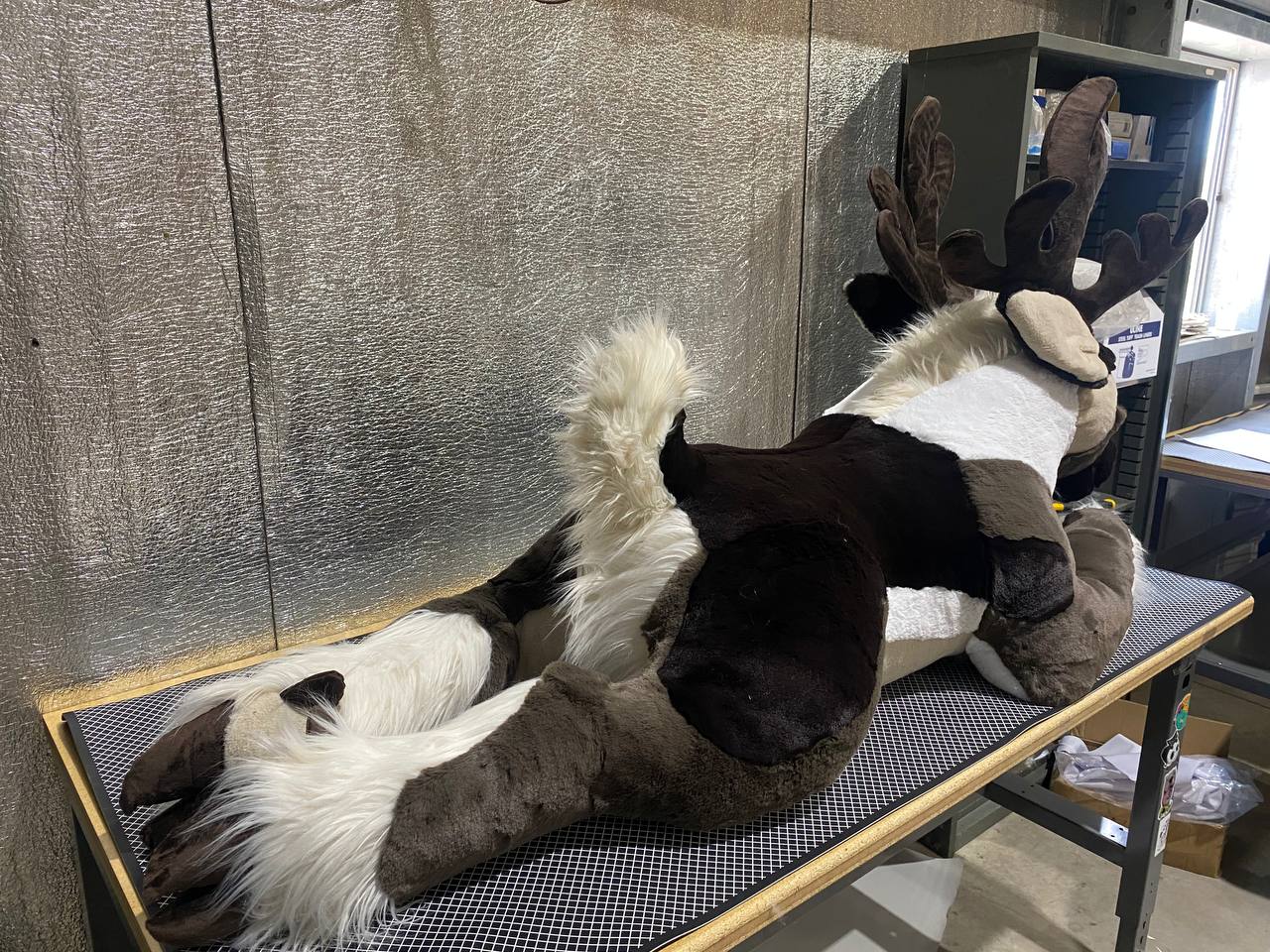 6 ft Caribou Plush