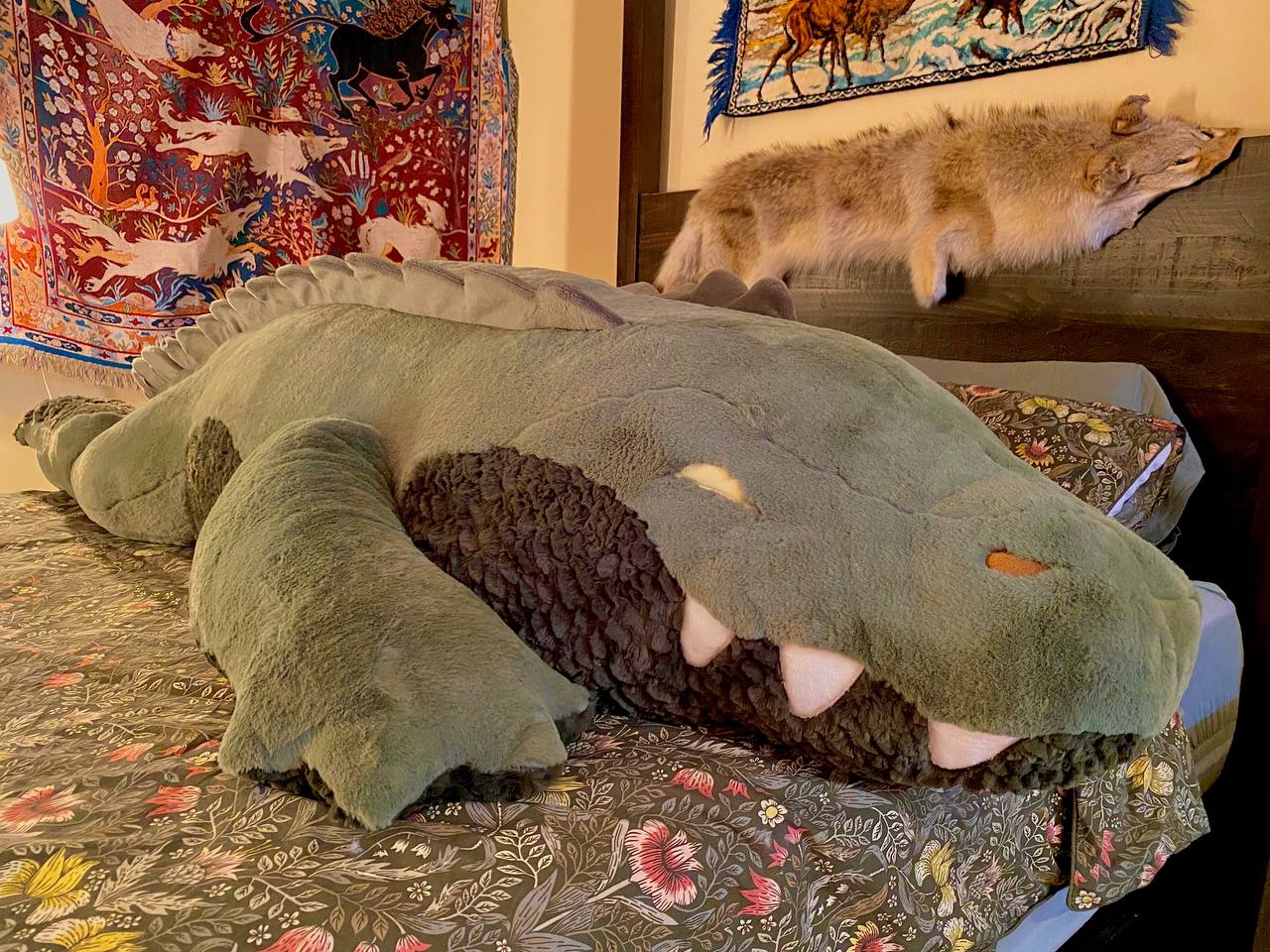 GIANT Alligator - MADE TO ORDER – Creep Cat Toy Company