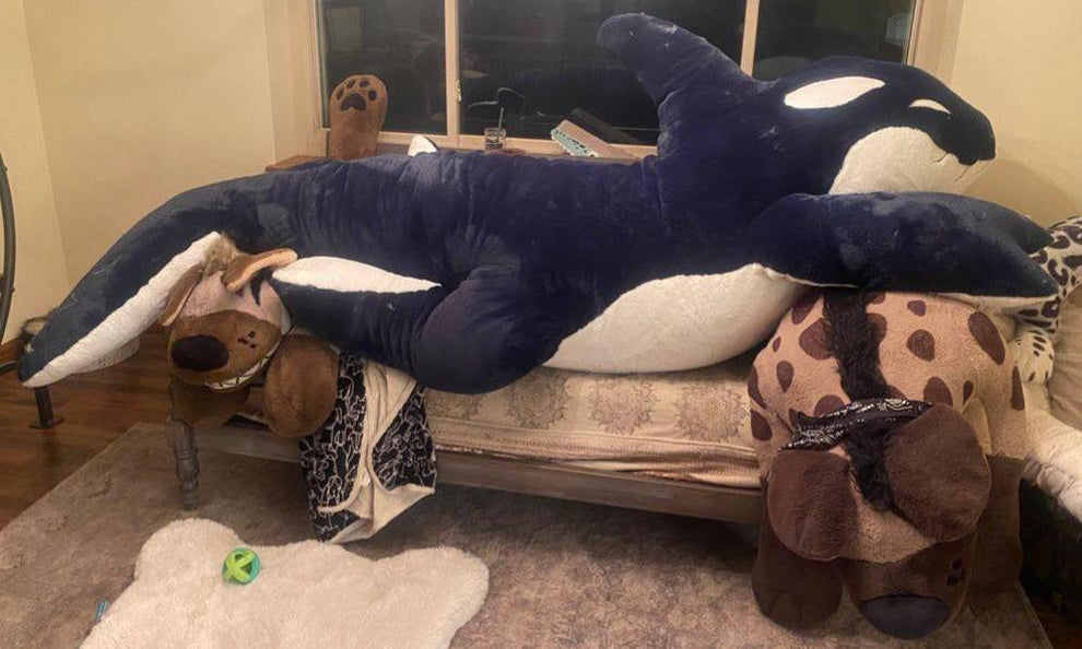 GIANT 10ft Orca - Made to Order – Creep Cat Toy Company