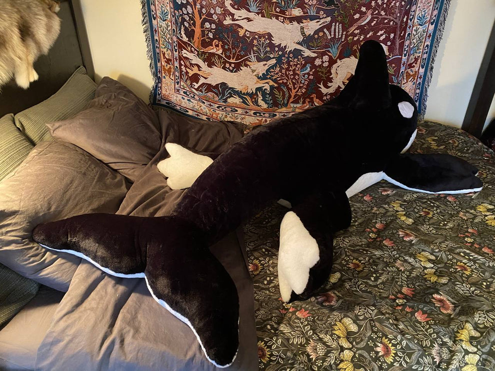 Large Orca Creature – Creep Cat Toy Company