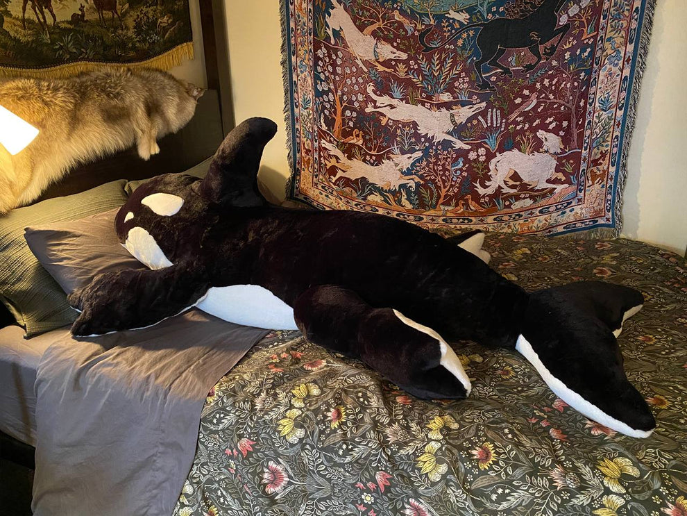 Large Orca Creature – Creep Cat Toy Company