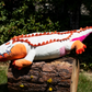 Pride Gators - Lesbian