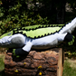 Pride Gators - Aromantic