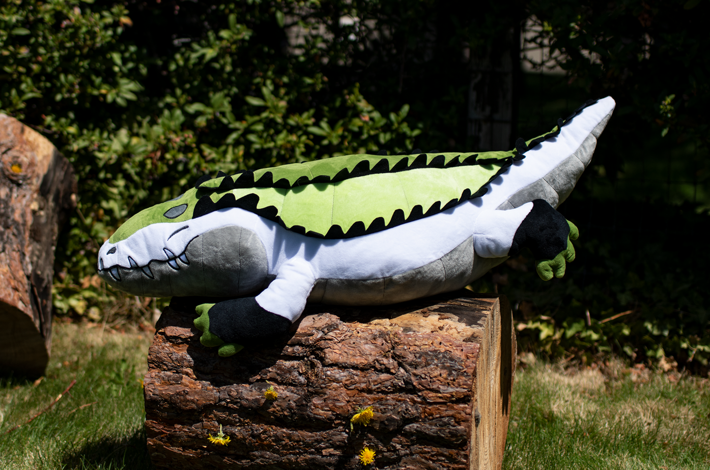 Pride Gators - Aromantic