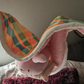 Blanket Manta - 30 inch plush