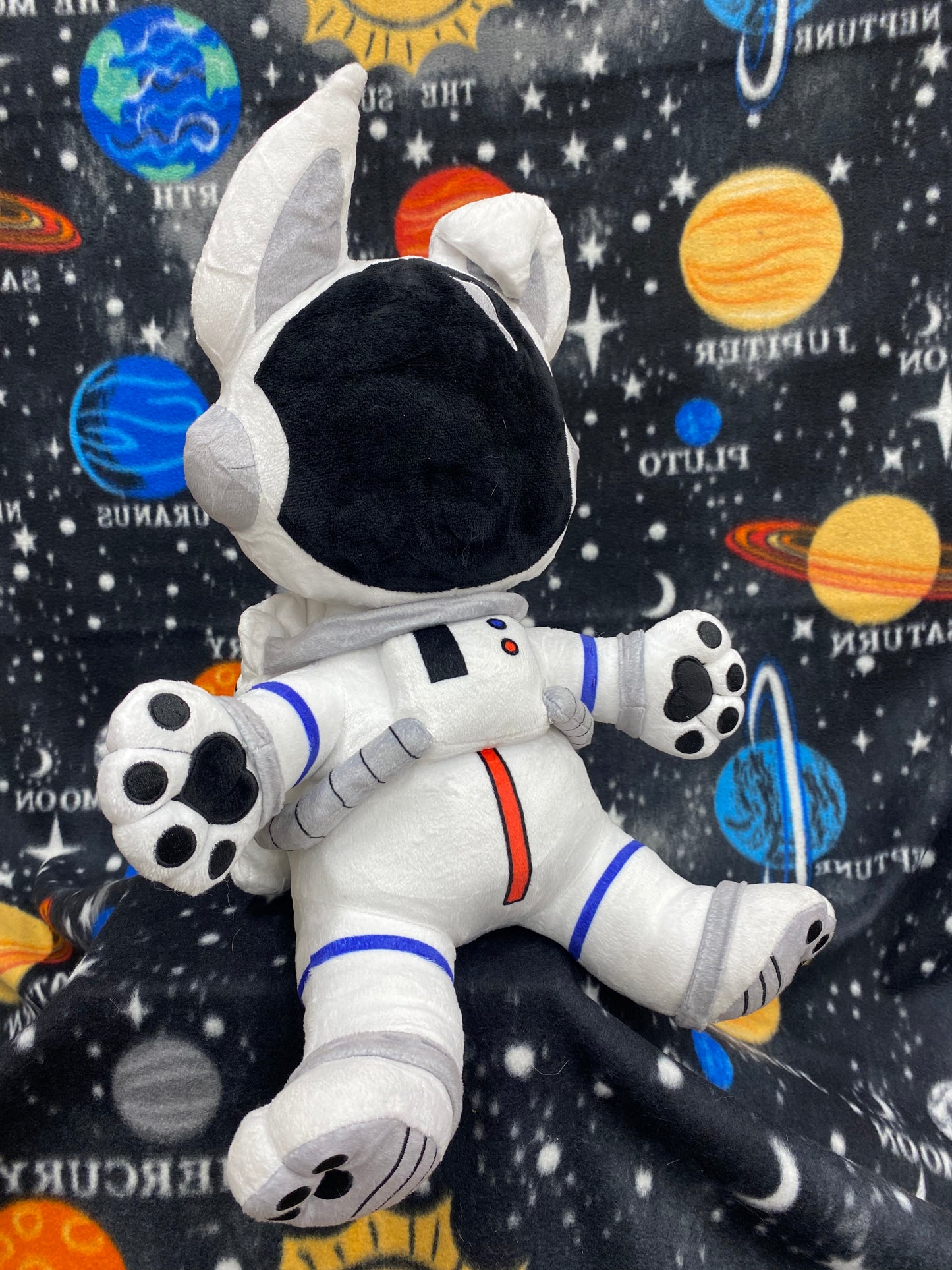 Space Buddies- Astro Dog