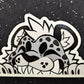 Window Peeker Stickers
