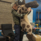 6 ft Spotted Hyena