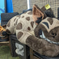 6 ft Spotted Hyena