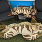 6 ft Striped Hyena