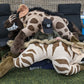 6 ft Striped Hyena