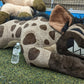 6 ft Spotted Hyena