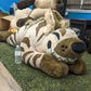 6 ft Striped Hyena