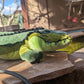 15 inch Flat Gator Plush