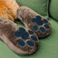 Spotted Hyena v.2