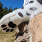Snow Leopard Plush